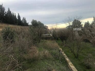 сайты недвижимости в азербайджане: 30 sot, Makler, Kupça (Çıxarış) — 2