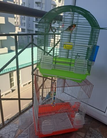 Quş qəfəsləri dəsti - 2 ədəd qəfəs: biri üstü qübbəli yaşıl metal lalafo.az -da Quş qəfəsləri dəsti - 2 ədəd qəfəs: biri üstü qübbəli yaşıl metal