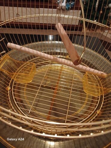 Xaltalar, qayışlar və tasmalar: Qızılı rəngdə dairəvi quş qəfəsi - Material: metal korpus, üst — 1