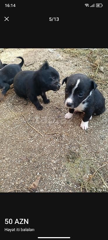 Ünvandan götürmə