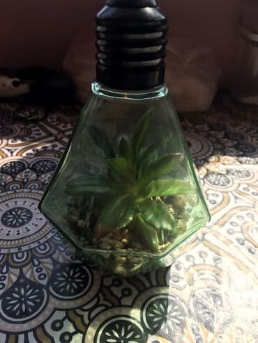 rengli lampalar: Lampa — 4