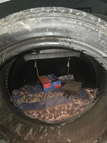 ceşqa 2 mator: Kia Teker, 2025 il, Orijinal, Yaponiya, İşlənmiş — 2