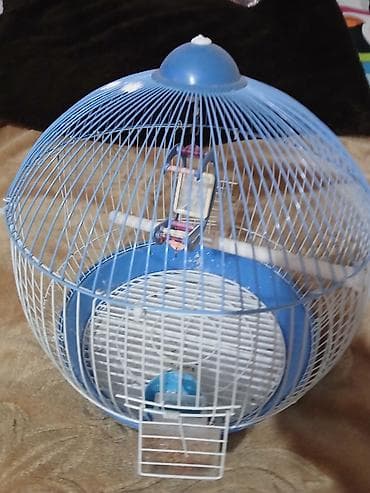Dairəvi formalı quş qəfəsi
12m ici genisdi