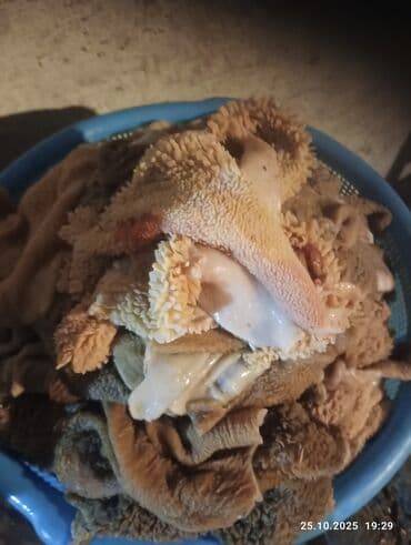 dönər əti: Məhsul: Mal qarınları (işkəmbə) Təsvir: - Malın müxtəlif — 3