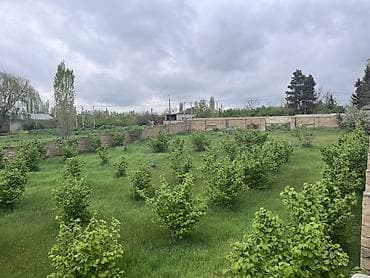 nzs torpaq satilir: 4 sot, Kənd təsərrüfatı, Mülkiyyətçi — 2