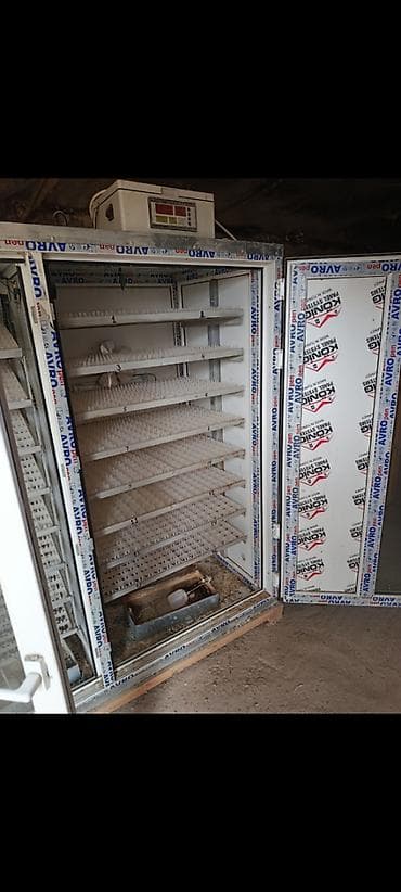 ev quslarinin satisi: 2810 yumurta tutumlu, tam avtomatik inkubator satılır.Yumurta — 3