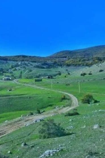 şabran torpaq: 2700 sot, Kənd təsərrüfatı — 2