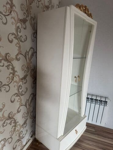 Mağaza arabaları: Şüşəli dolab vitrini — 1