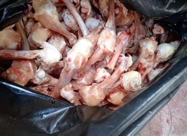 корм для собак баку: Sümük fars ucuz qiymete — 1