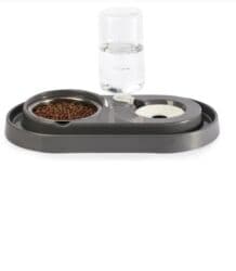 пекинес цена в баку: Pekines, 3 ay, Erkek, Peyvəndli, Ünvandan götürmə — 6