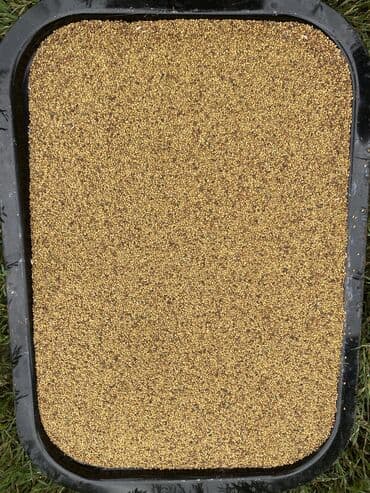 купить обои в баку онлайн: 7illik yonca toxumudu. Vimdə təmizlənib Əla və məhsuldar toxum — 1