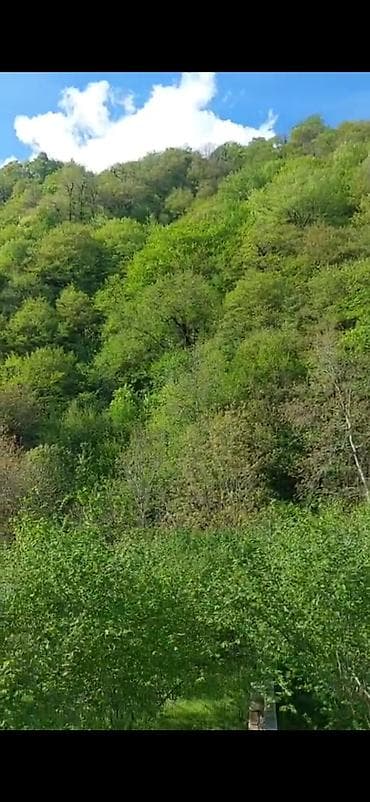 masazirda evlerin satisi: 14 sot, Tikinti, Mülkiyyətçi, Kupça (Çıxarış) — 2