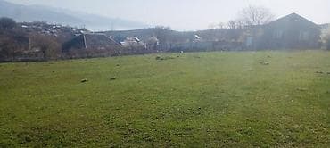 13 sot, Tikinti, Mülkiyyətçi, Kupça (Çıxarış)