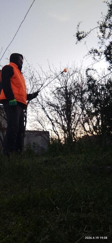 Bağ sahələrinin peyzaj və yaşıllaşdırma xidməti - Ot və alaq biçimi