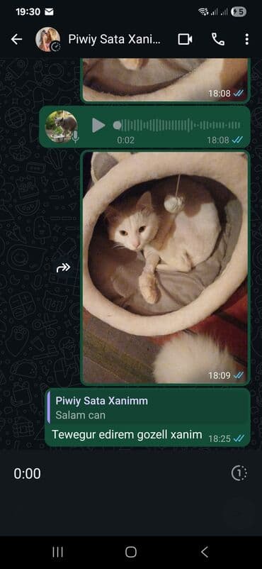 pisik yuvalari: Ünvandan götürmə — 5