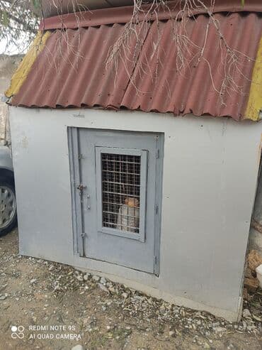 Quşxana Satlır 30 cüt xana