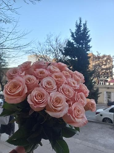 Сфера образования: Gul dukanna satici xanm teleb olunur 3gune 300manat,yas 25den yuxari — 2