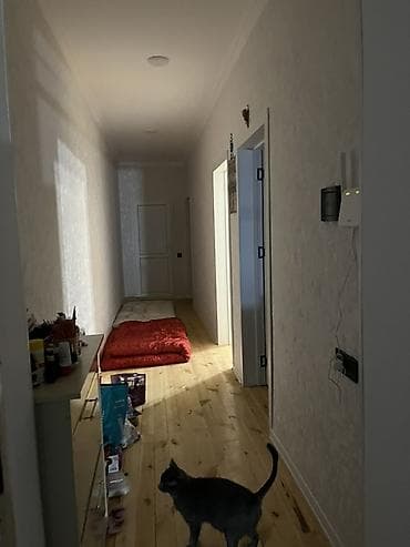 laza kendi: Kirayə verilən mənzil – 2 otaqlı, tam mebelli və məişət texnikalı — 5