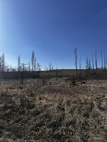 torpaq alqi satqisi: 10 sot, Tikinti, Kupça (Çıxarış) — 5