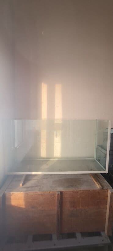 Digər heyvanlar: Şüşə akvarium - Ölçü: təxminən uzun 90 sm, hündür 50–55 sm, dərinlik — 2