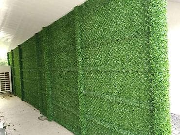 qazon xalca: Cadrlma var — 7