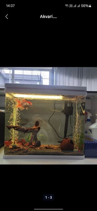 filtir: Dördbucaq akvarium, Boş, 40 l — 5