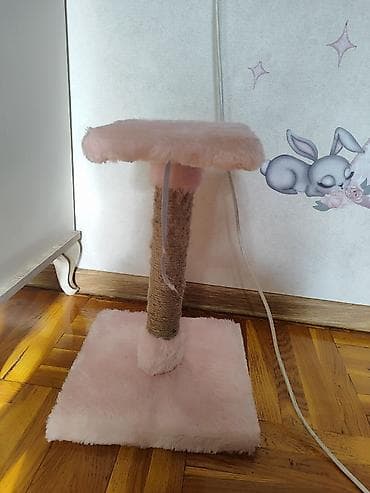 Heyvanlar üçün digər mallar