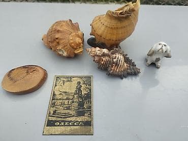 şaxta baba oyunu: Dəniz mövzulu dekorativ dəst Tərkib: - 3 ədəd iri/orta ölçülü dəniz — 2