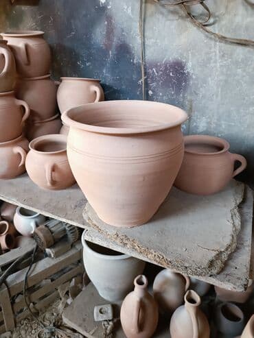 Digər bitkilər: Salam Muxtelif forma olcuye kimi dibcekler movcuddur . Ozel sifarisde — 5