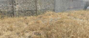 Qarajlar: 3 sot, Tikinti, Mülkiyyətçi, Kupça (Çıxarış) — 7