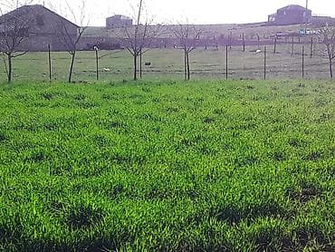 razin kiraye evler: 12 sot, Tikinti, Maklerlər narahat etməsin, Kupça (Çıxarış) — 2