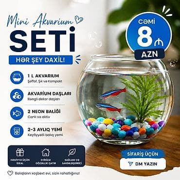 balıq qiyməti: Yumru akvarium, Balıqlarla birlikdə, 1 l, Ünvandan götürmə, Pulsuz çatdırılma, Ödənişli çatdırılma — 1