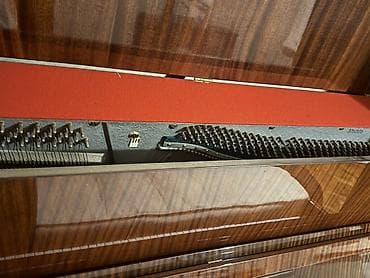 İdman və hobbi: Piano, Belarus, Akustik — 5