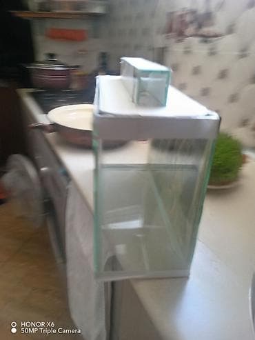 İtlər: Şüşə akvarium Mənzərəli fonu var qiymət sondur - Şəffaf şüşədən — 5