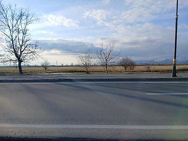 nabran bag evleri: 35 sot, Biznes üçün, Mülkiyyətçi, Kupça (Çıxarış) — 8