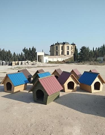 it davasi 2020: It yuvaları.sifarişdə qəbul olunur. 1 metrlikdi.böyük ölçülü itlər — 7