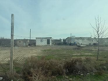 zigda satilan heyet evleri: Mal-qaranın saxlanışı və heyvandarlıq üçün təsərrüfat sahəsi və — 5