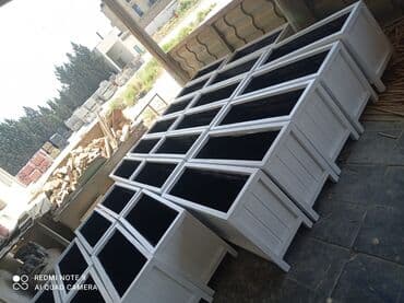 dibçek gulleri: Dibçək güldanlar. Dipçəklər bir başa sexdən.Sex qiymətinə. ♦️Endrim — 3