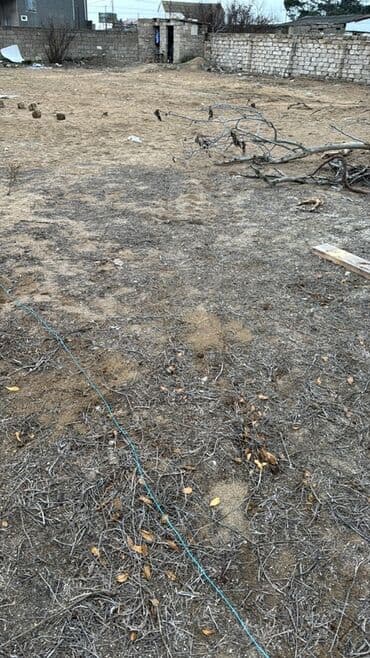 Аренда участков: Для строительства — 2