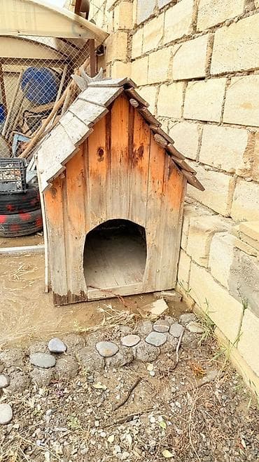 Taxta it evi - Material: təbii taxta lövhələr, ikiqat maili dam