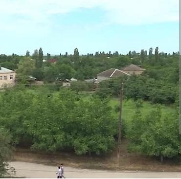 zabratda torpaq satilir: 6 sot, Tikinti, Barter mümkündür, Kupça (Çıxarış) — 5