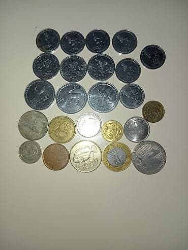Kolleksiya üçün müxtəlif ölkələrə aid xırda pul sikkələri dəsti
