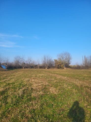 42 sot, Mülkiyyətçi, Kupça (Çıxarış)