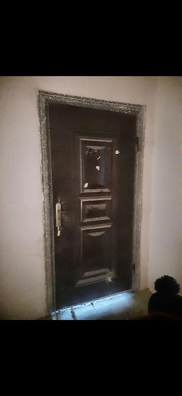 plastik kapi pencere: Metal giriş qapısı - Material: möhkəm metal konstruksiya - Rəng və — 1