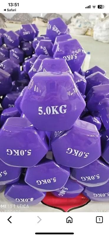 Другое для спорта и отдыха: Гиря — 1