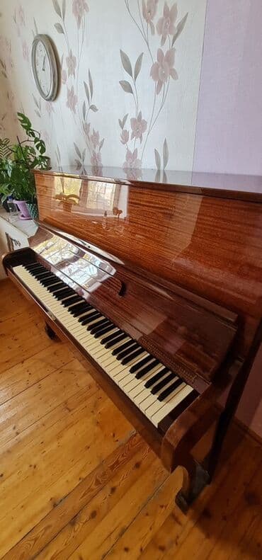 Аккордеоны: Пианино, Rönisch, Акустический — 4