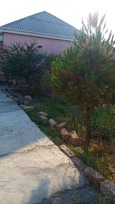 lalafo az qusar: 3 otaqlı, 80 kv. m, Kredit yoxdur, Yeni təmirli — 7