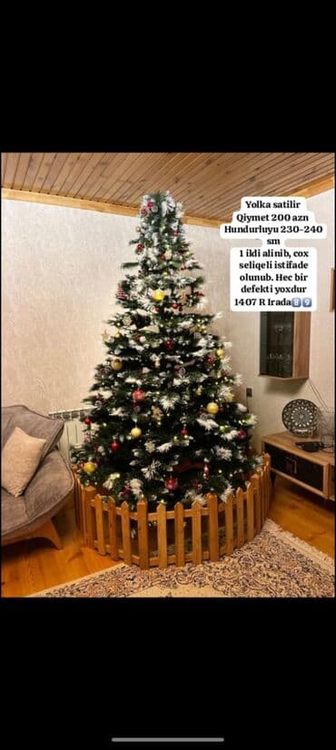 taxta 5 20: Yolka satilir Qiymet 200 man Hundurluyu 230-240 sm 1 ildi alinib — 1