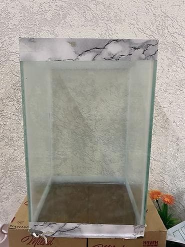 su çğni: Dördbucaq akvarium, Boş, 25 l, Ünvandan götürmə, Ödənişli çatdırılma — 2