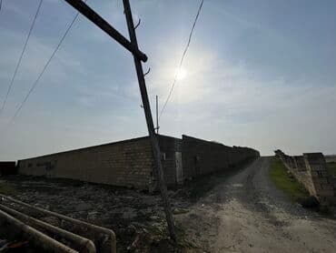 30 sot, Mülkiyyətçi, Kupça (Çıxarış) — 4